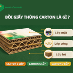 Bồi giấy carton là gì