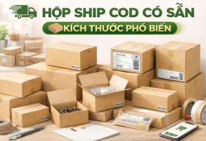 Hộp carton ship cod