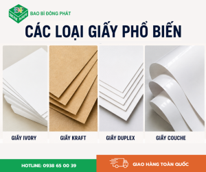 Các loại giấy phổ biến