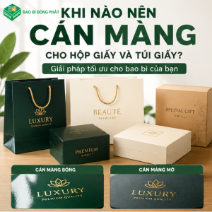 Cán màng giấy