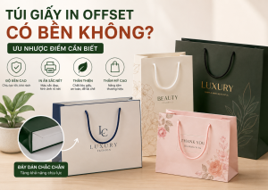 Túi giấy in offset 